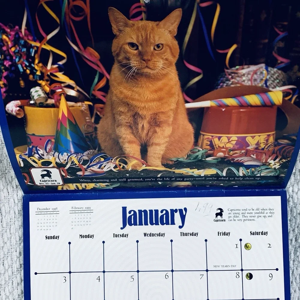 Morris‎ the Cat 9 Lives Wall Calendar Orange Morriscope Vintage 1999 Astrologly